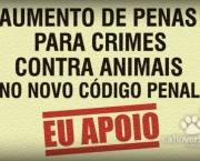 crimes-contra-animais (4)