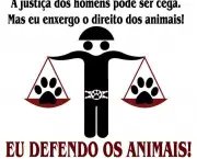 crimes-contra-animais (7)