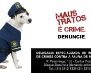 crimes-contra-animais (8)