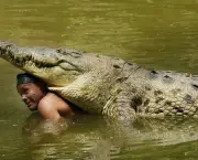 Crocodilo (9)