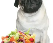 Dieta Vegetariana Para Cães (2)