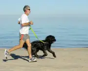 exercisingwithdogs