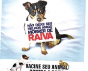 Fotos Vacinacao de Animais (10)