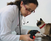 Guia Terapeutico Veterinario (1)