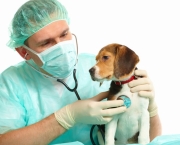 Guia Terapeutico Veterinario (1)