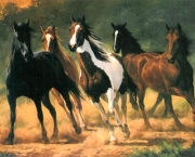 Imagens de cavalos correndo 4