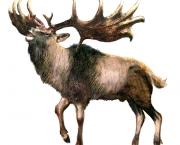 megaloceros (2)