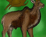 megaloceros (6)