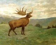 megaloceros (18)