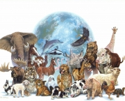 animal_mural