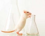 Laboratory-Animals-Business