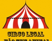 Reportagem Sobre a Vida dos Animais nos Circos (13).jpg