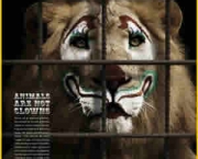 Reportagem Sobre a Vida dos Animais nos Circos (16).jpg