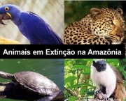 Sobre Animais em Extincao (10)