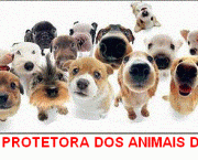 Sociedade Protetora de Animais (1)