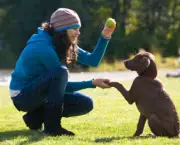 treinamento-para-cachorros (8)