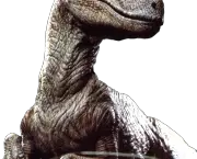 Velociraptor (1)
