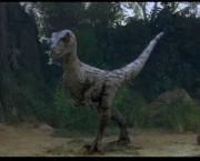 Velociraptor (4)
