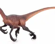 Velociraptor (11)