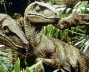 Velociraptor (13)
