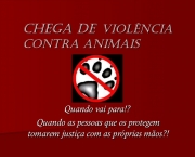 Violencia aos Animais (4)