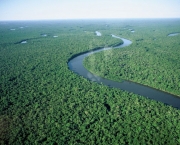 Zonas de Combate na Floresta Amazonica (9).jpg