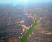 Zonas de Combate na Floresta Amazonica (12).jpg