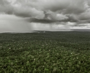 Zonas de Combate na Floresta Amazonica (14).jpg