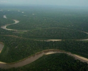 Zonas de Combate na Floresta Amazonica (16).jpg