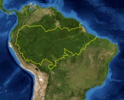 Zonas de Combate na Floresta Amazonica (18).jpg