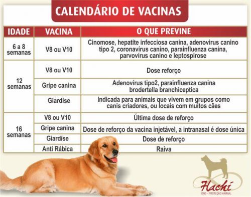 Calendário de Vacinas Pet