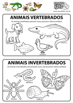 Exemplos de Animais Vertebrados e Invertebrados