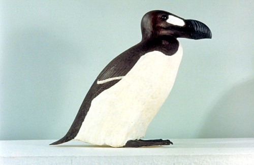 Arau-Gigante (Pinguinus Impennis): Ave Extinta