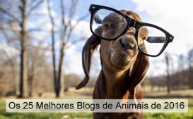 Os 25 Melhores Blogs de Animais de 2016