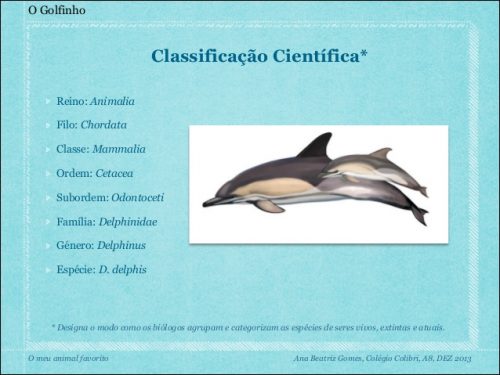 Classificação dos Golfinhos