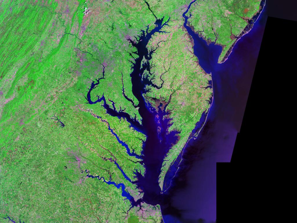 Baía de Chesapeake 